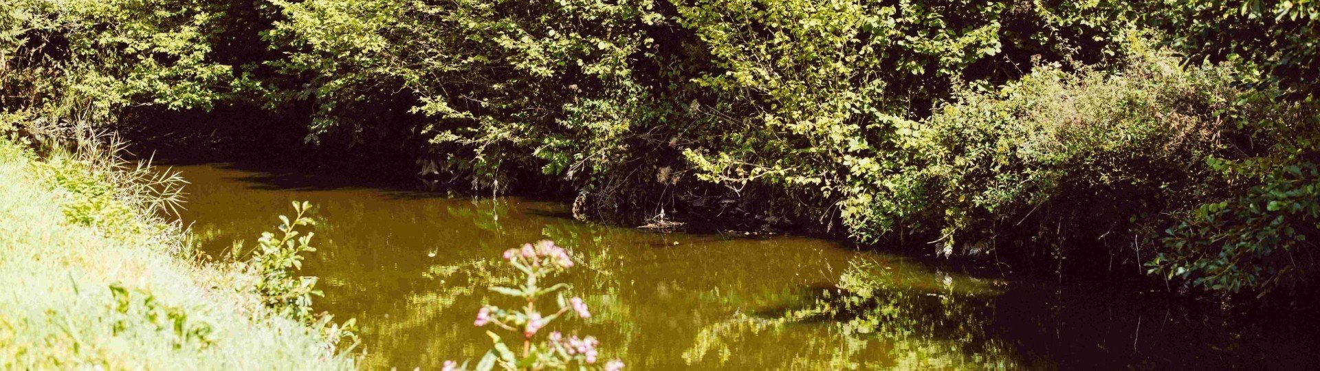 Camping woltzdal luxemburg