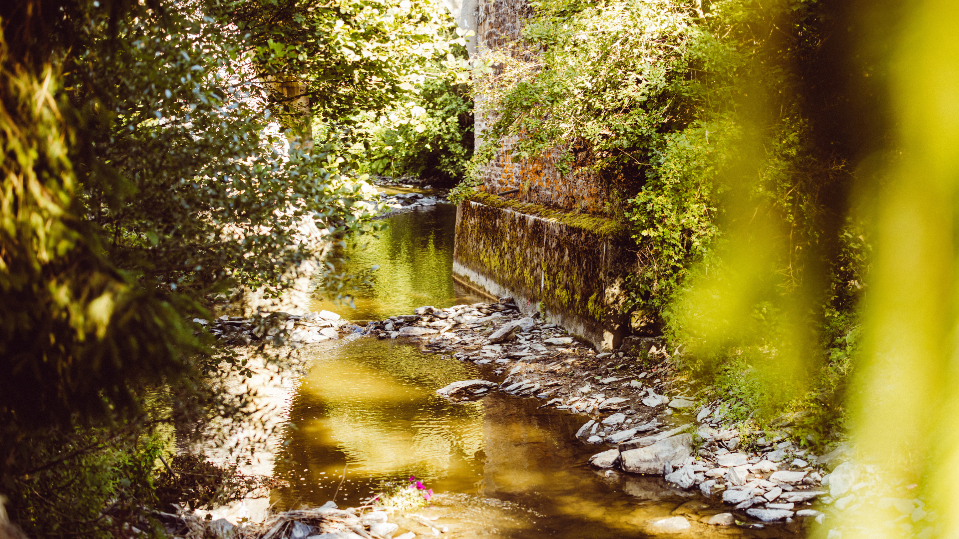 Active in and around Woltzdal