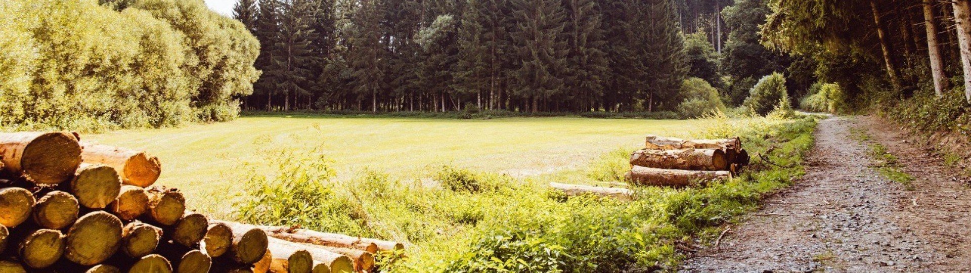 Wandelpad bij trekkershutten 5