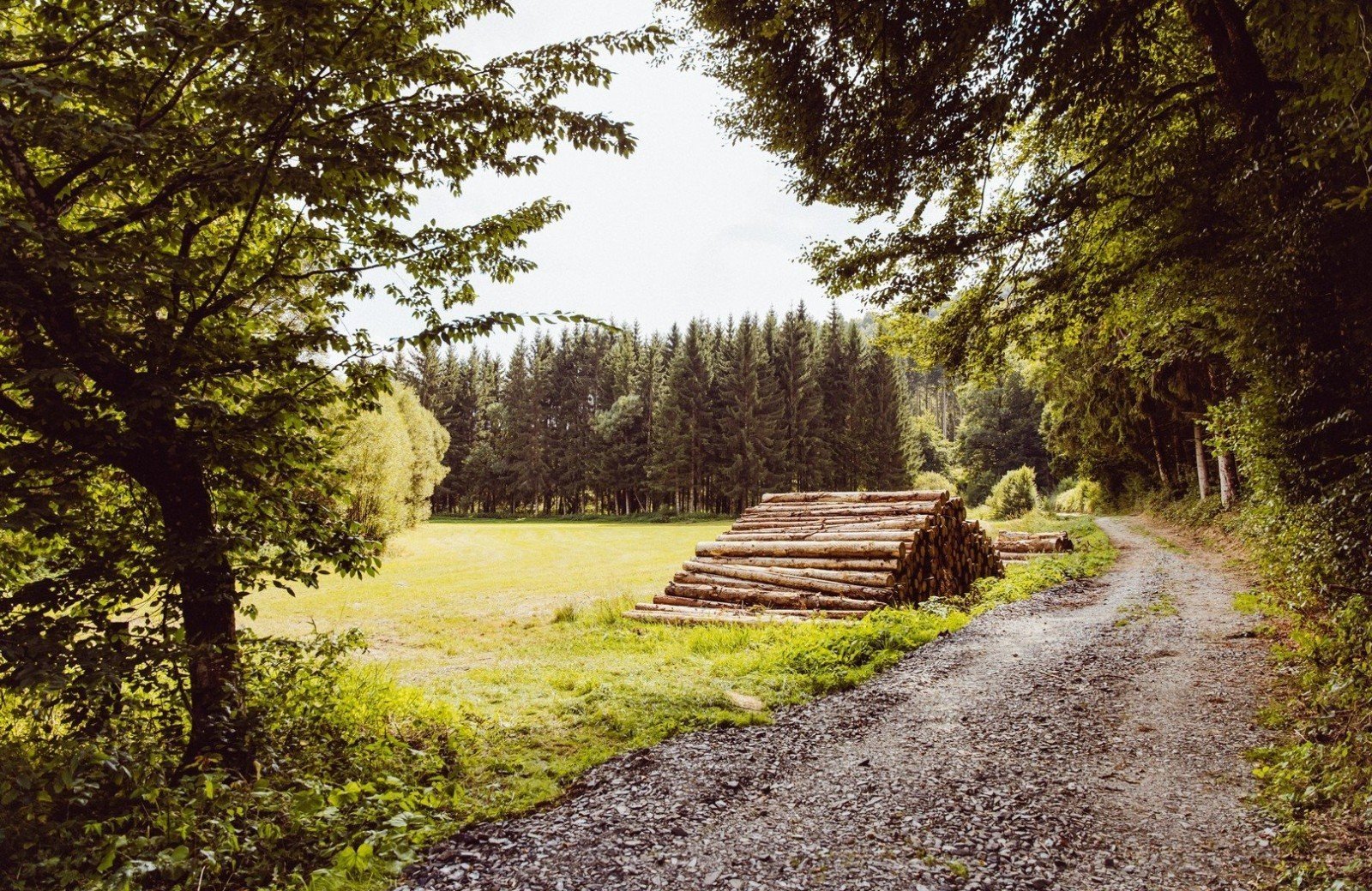 Wandelpad bij trekkershutten
